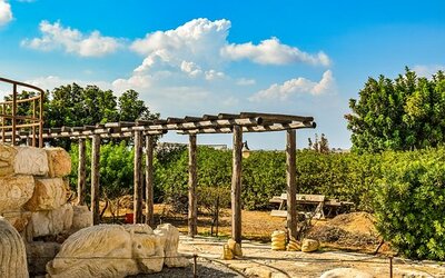 backyard ideas for landscaping